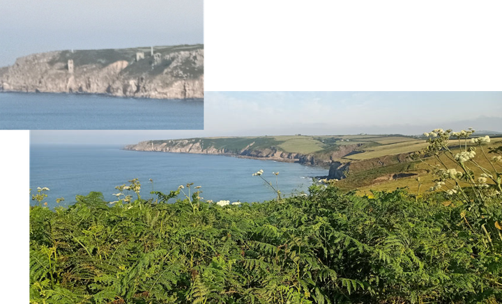 Bracken and greenery fringed by sea and granite cliffs