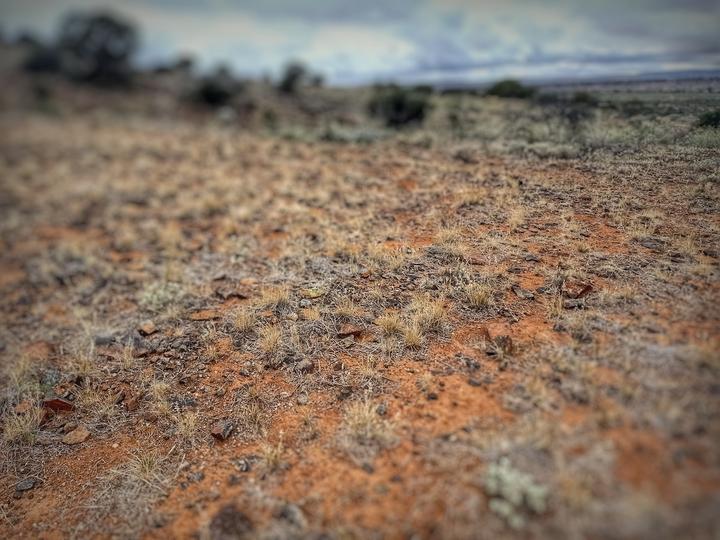 An edited photo I took of red sand, gravel, rocks and dried up bits of grass and bushes.