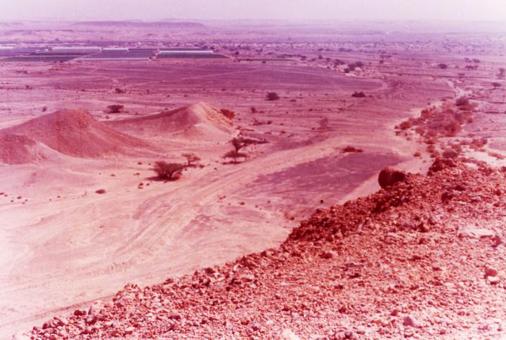 A view across the Arav/Negev Desert toward some Israeli polytunnels