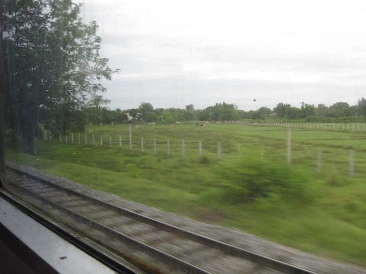 view from a train window, tracks and rice paddies